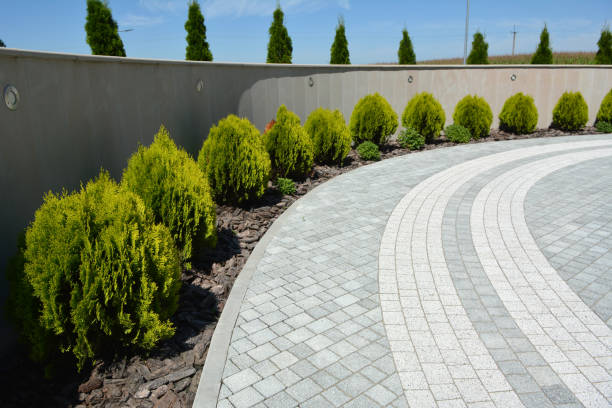 Best Driveway Paver Repair  in Marion, WI